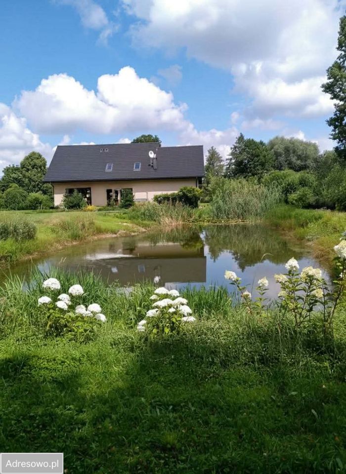 dom wolnostojący, 8 pokoi Jeżew. Zdjęcie 10