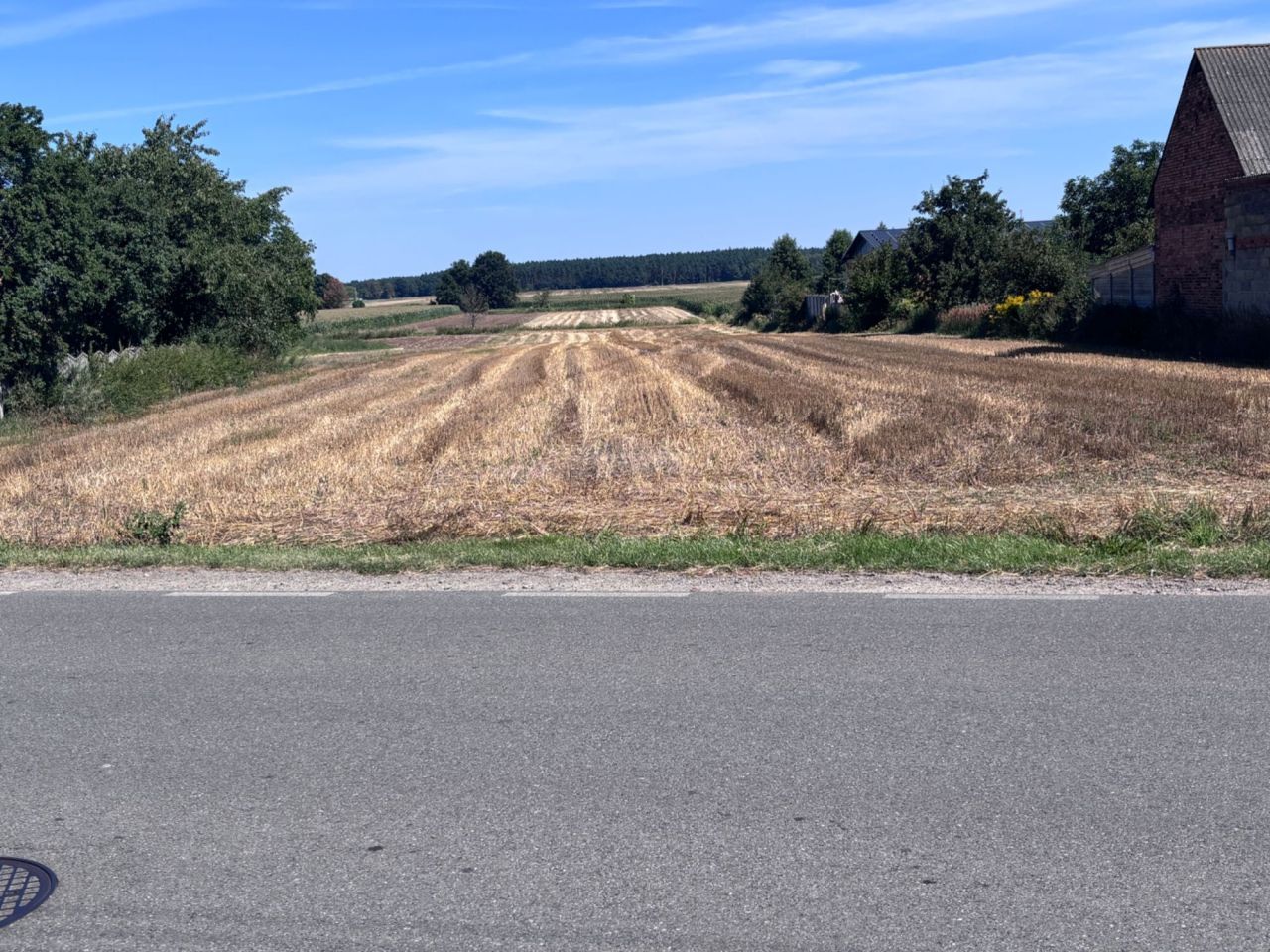 Działka rolno-budowlana Kraszewice. Zdjęcie 1