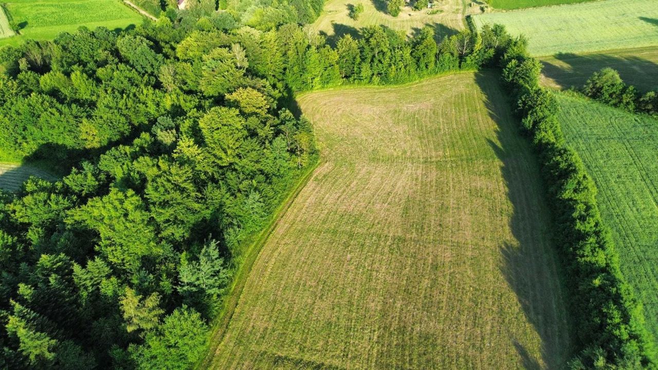 Działka budowlana Łęka. Zdjęcie 6