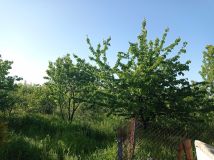 dom wolnostojący Suchodół. Zdjęcie 3