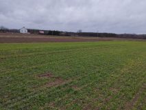 Działka budowlana Wiązownica. Zdjęcie 3