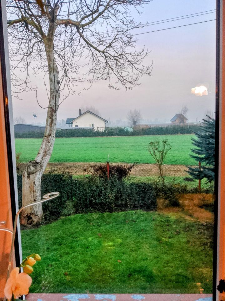 dom wolnostojący, 6 pokoi Jenin, ul. Wojska Polskiego. Zdjęcie 15