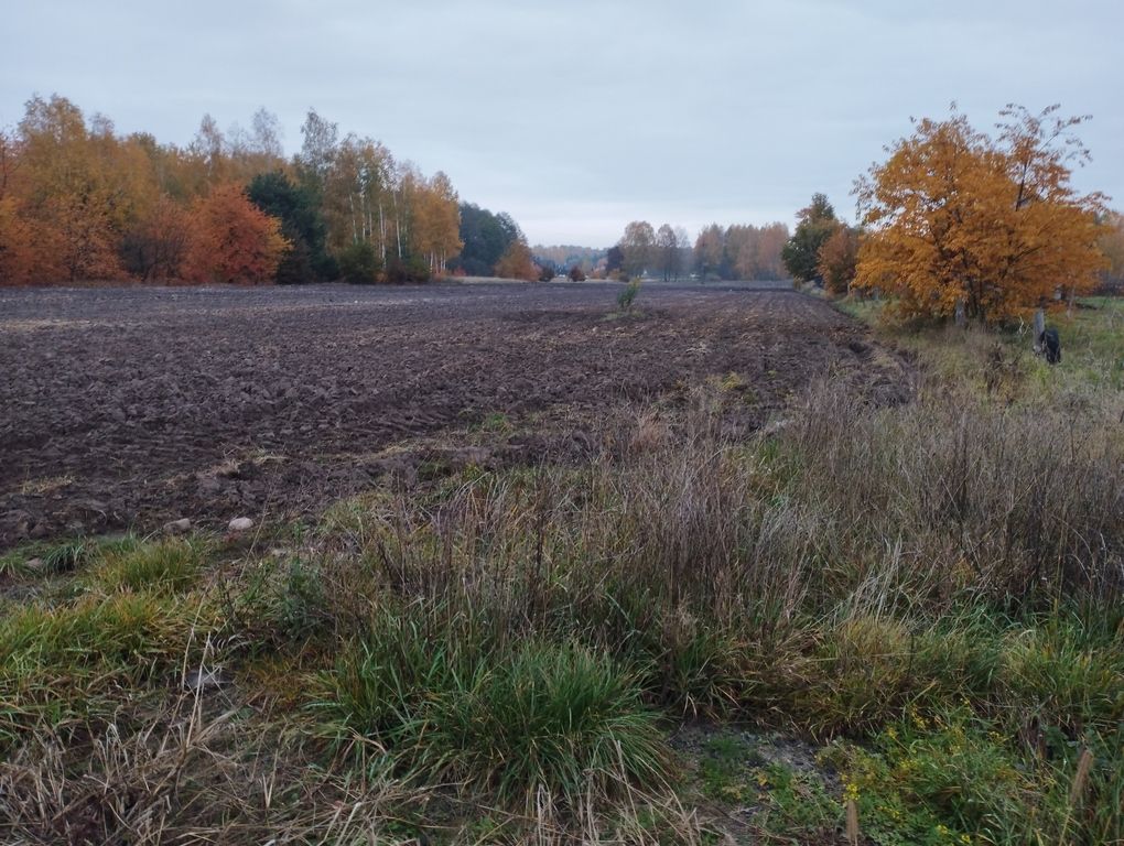 Działka budowlana Żelechów. Zdjęcie 2