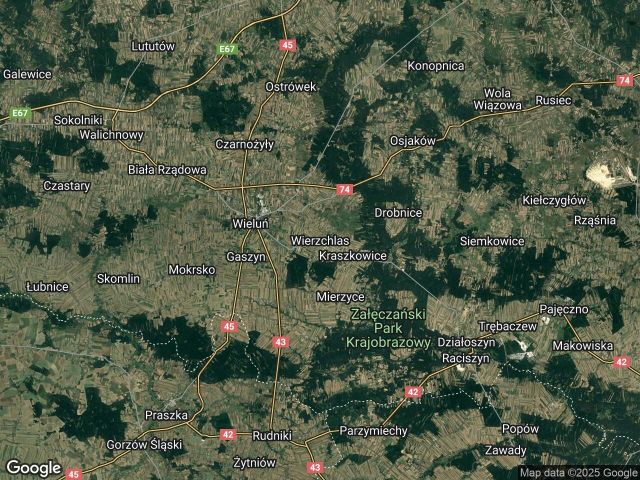 Działka rolno-budowlana Wierzchlas. Zdjęcie 1