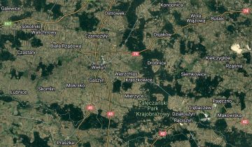 Działka rolno-budowlana Wierzchlas