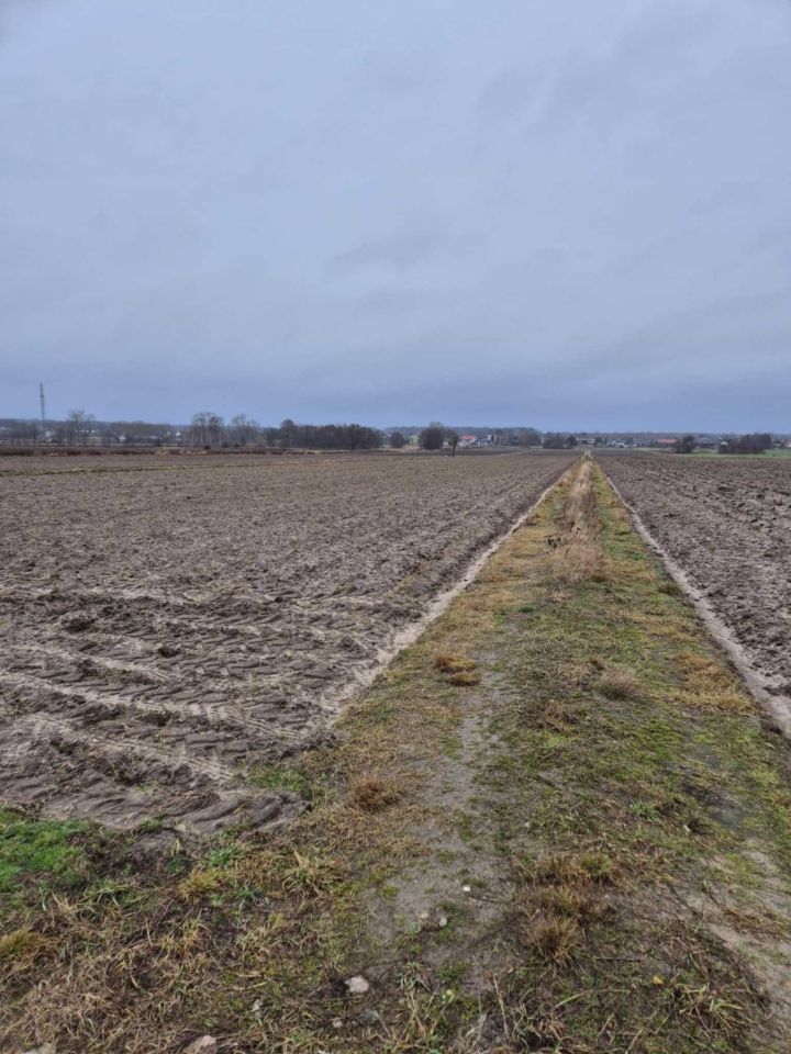 Działka rolna Wola Prażmowska, ul. Południowa. Zdjęcie 5