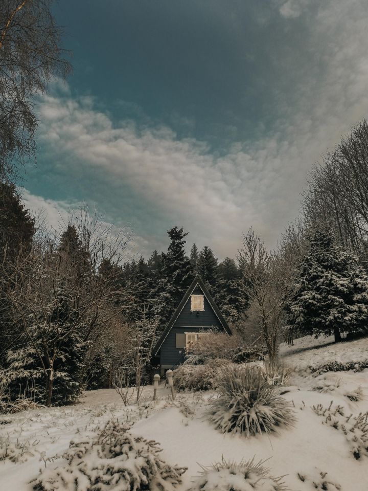 dom letniskowy, 2 pokoje Las, ul. Gronik. Zdjęcie 17