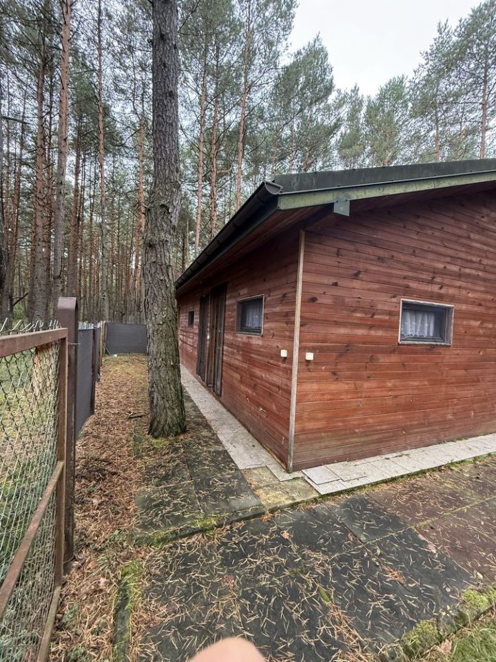 Działka leśna Przybynów. Zdjęcie 6
