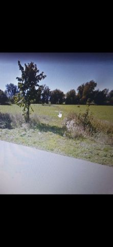 Działka rolno-budowlana Różany. Zdjęcie 1