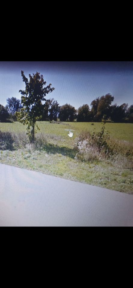 Działka rolno-budowlana Różany