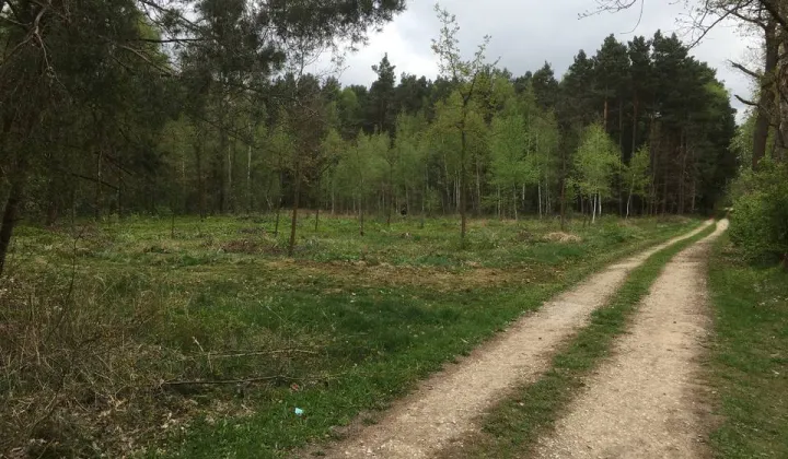 Działka rolna Zabrodzie