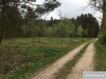 Działka rolna Zabrodzie