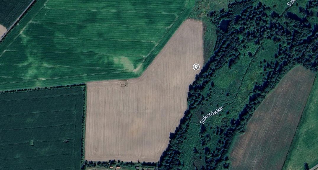 Działka rolno-budowlana Gołębiewo. Zdjęcie 3