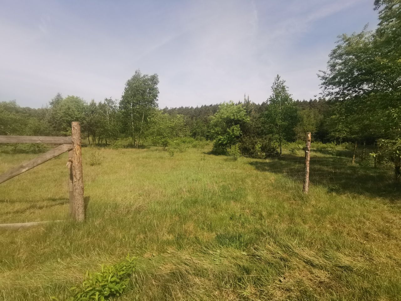 Działka rolno-budowlana Zwoleń. Zdjęcie 3