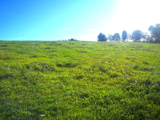 Działka budowlana Turza. Zdjęcie 5