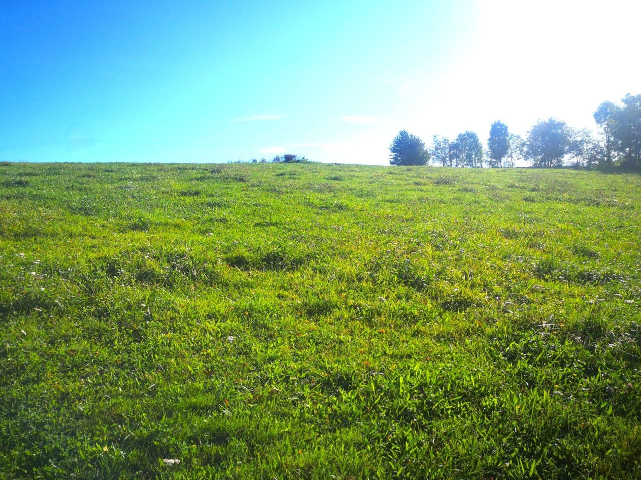 Działka budowlana Turza. Zdjęcie 5