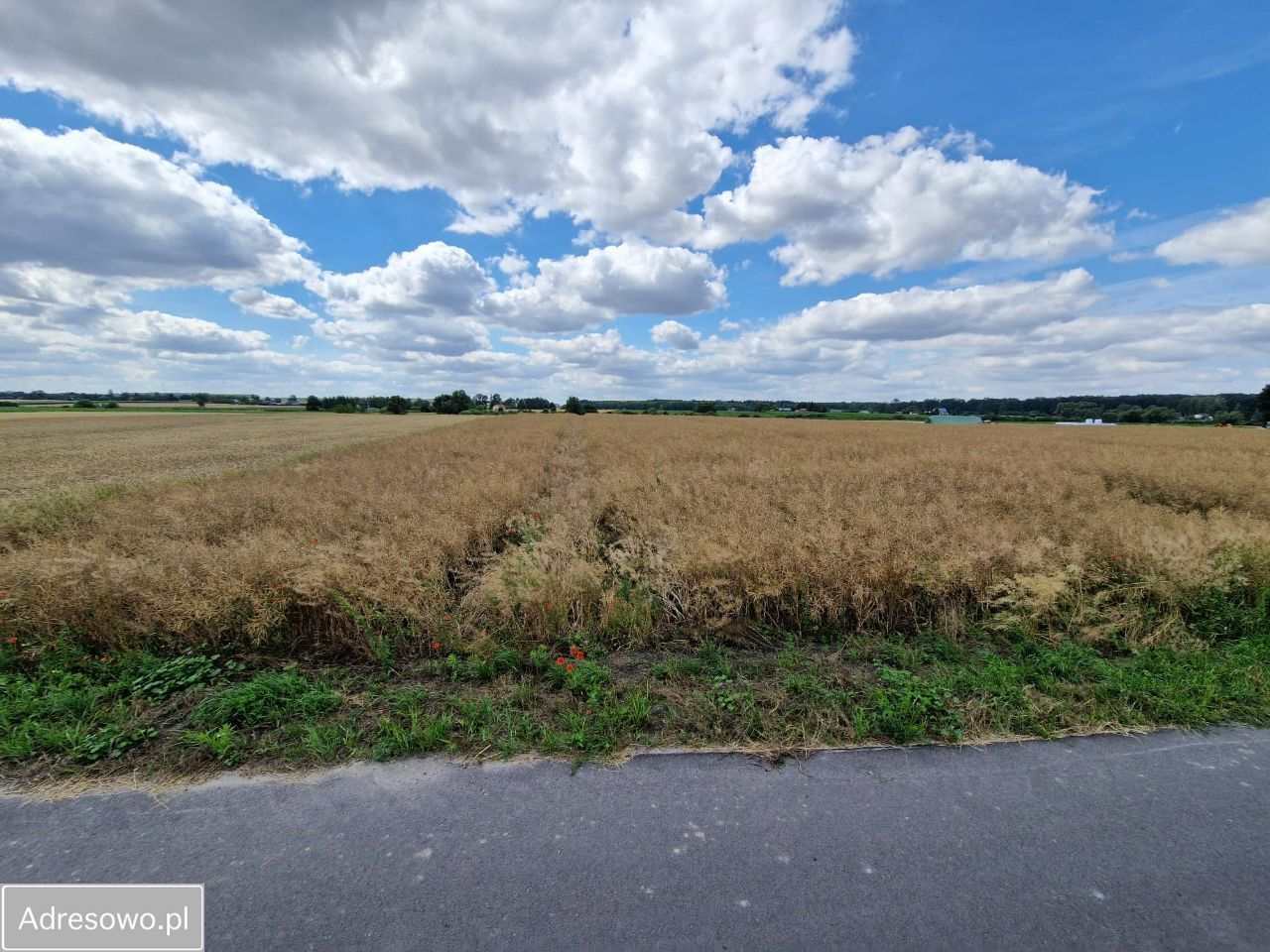 Działka budowlana Wołkowiany. Zdjęcie 4