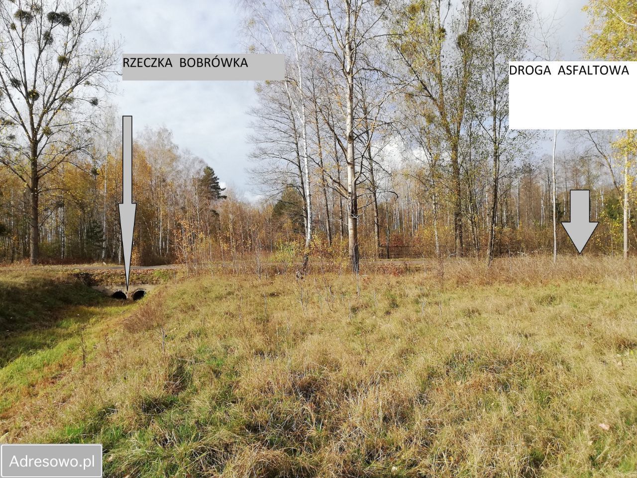 Działka rolna Olchówka. Zdjęcie 3