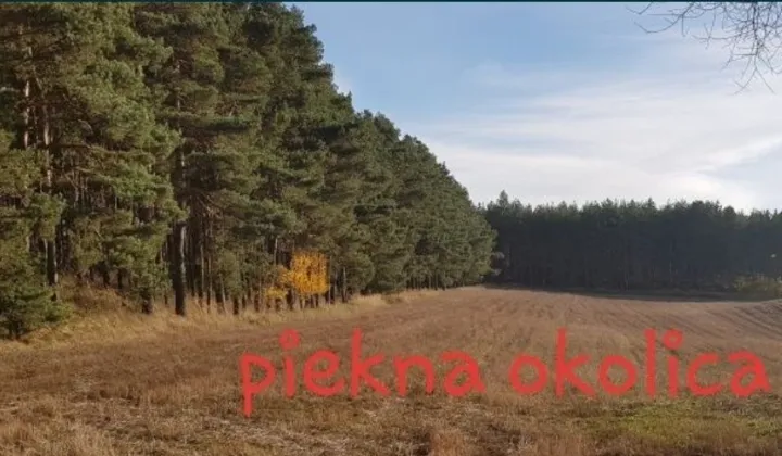 Działka budowlana Wymysłowo