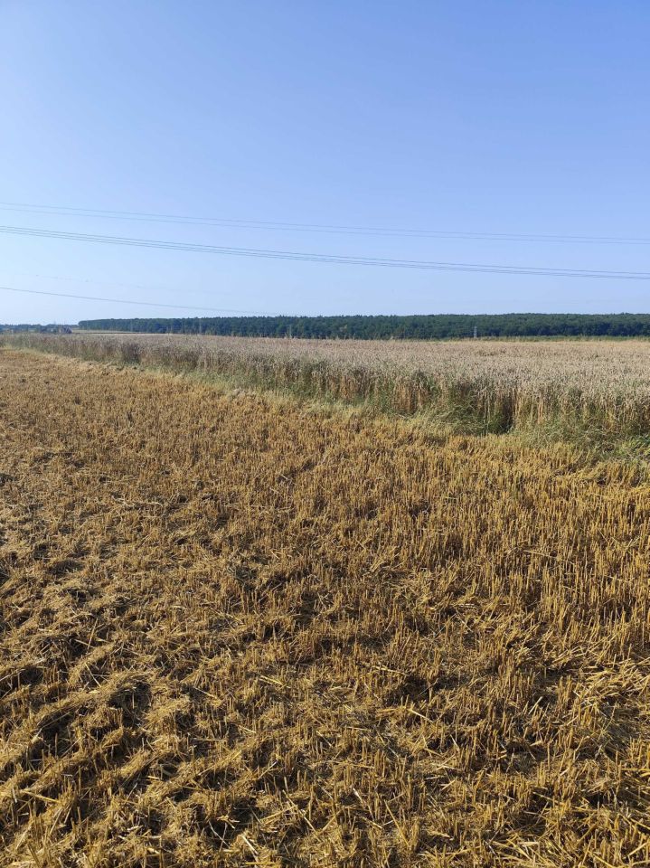 Działka rolno-budowlana Zemborzyce Podleśne. Zdjęcie 3