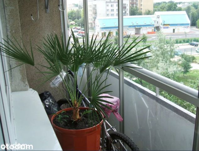 Mieszkanie 2-pokojowe Warszawa Bemowo, ul. Romualda Millera. Zdjęcie 5