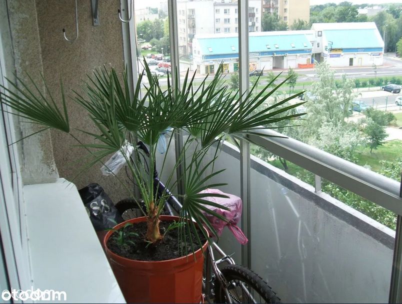 Mieszkanie 2-pokojowe Warszawa Bemowo, ul. Romualda Millera. Zdjęcie 5