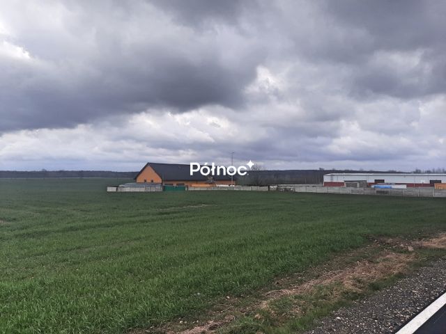Hala/magazyn Kruszyn, ul. Świerkowa. Zdjęcie 4