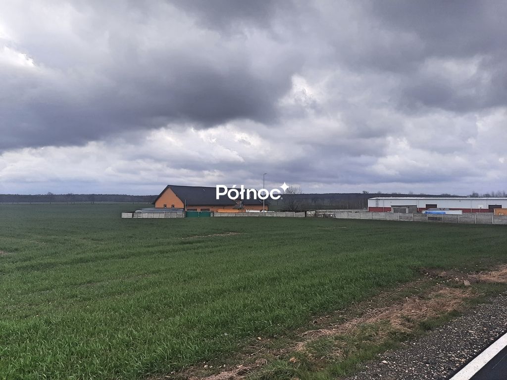 Hala/magazyn Kruszyn, ul. Świerkowa. Zdjęcie 4