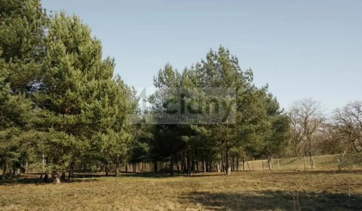 Działka budowlana Rajszew