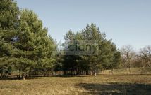 Działka budowlana Rajszew