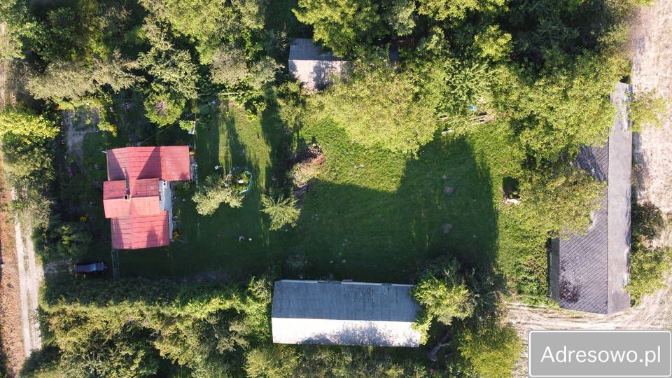 Działka siedliskowa Płonka. Zdjęcie 3