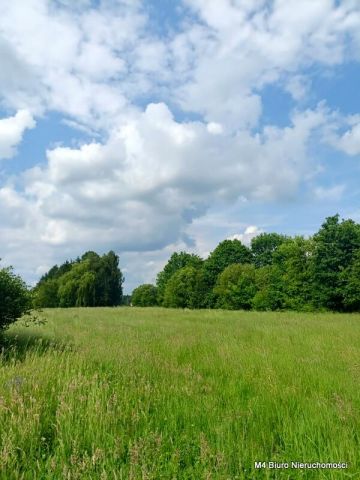 Działka Świerzowa Polska. Zdjęcie 14