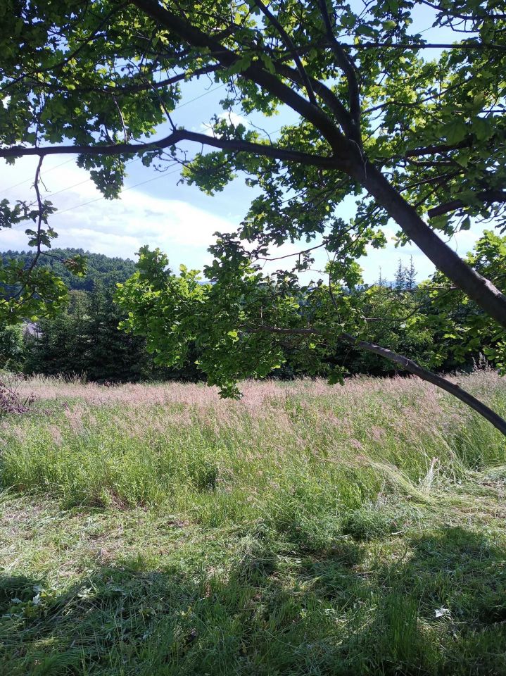 Działka budowlana Nowy Sącz, ul. Jodłowa. Zdjęcie 4