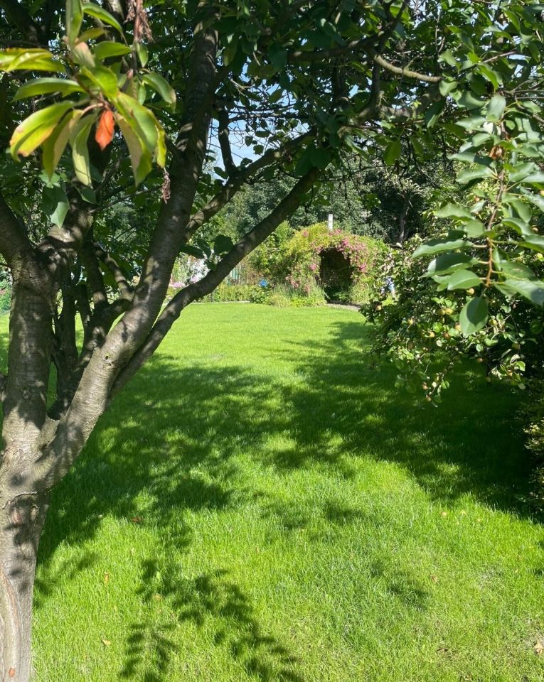 Działka leśna Chorzów. Zdjęcie 7