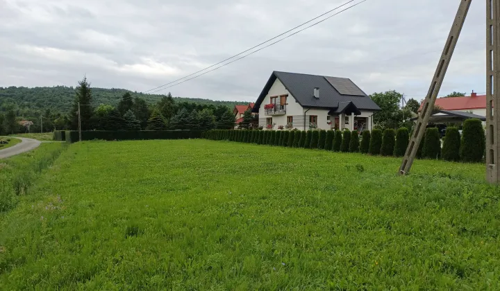 Działka siedliskowa Jasionka