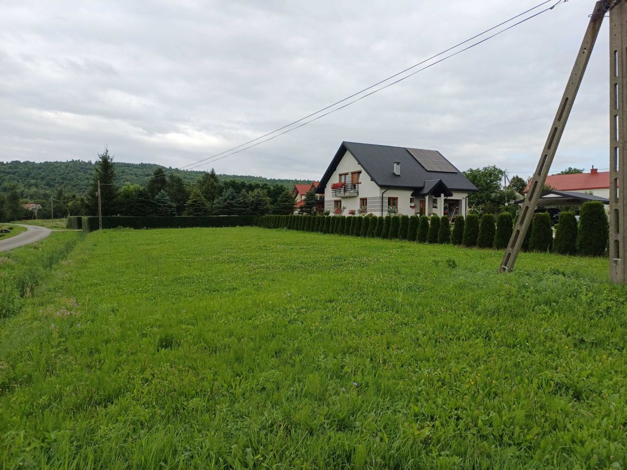 Działka siedliskowa Jasionka