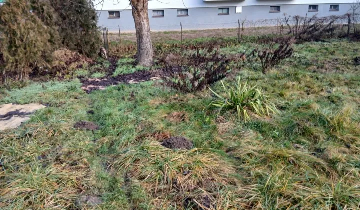 Działka rod Kowalewo Pomorskie