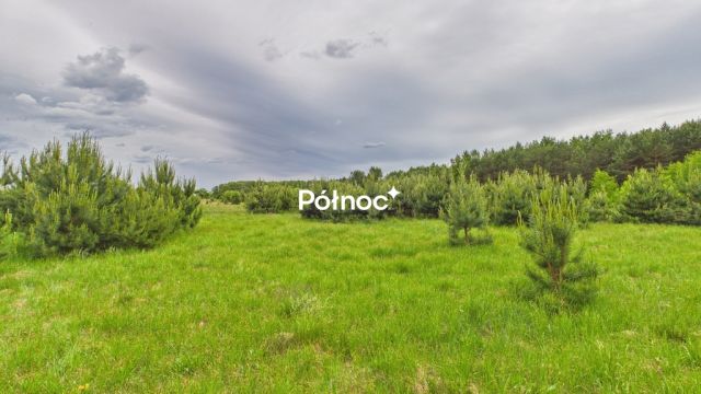 Działka budowlana Dobry Las. Zdjęcie 15