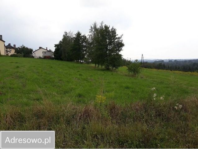 Działka budowlana Lusina, ul. Brzegi. Zdjęcie 1