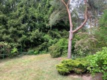 Działka rekreacyjna Pawłówek. Zdjęcie 1