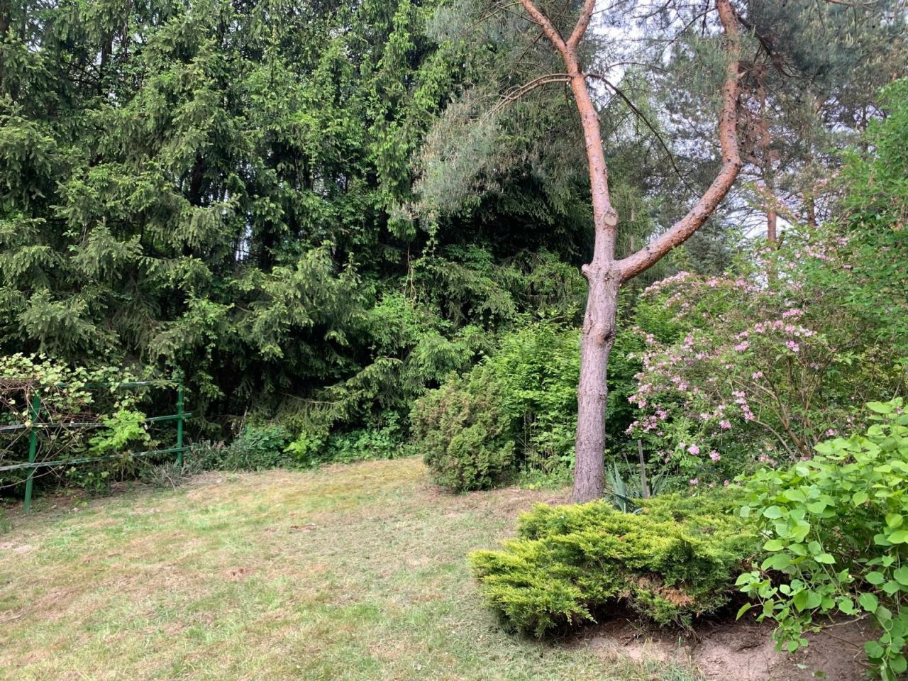 Działka rekreacyjna Pawłówek. Zdjęcie 2