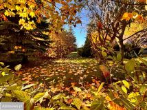 dom wolnostojący, 6 pokoi Zawierzbie. Zdjęcie 4