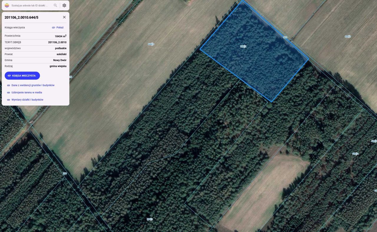 Działka leśna Nowy Dwór. Zdjęcie 2