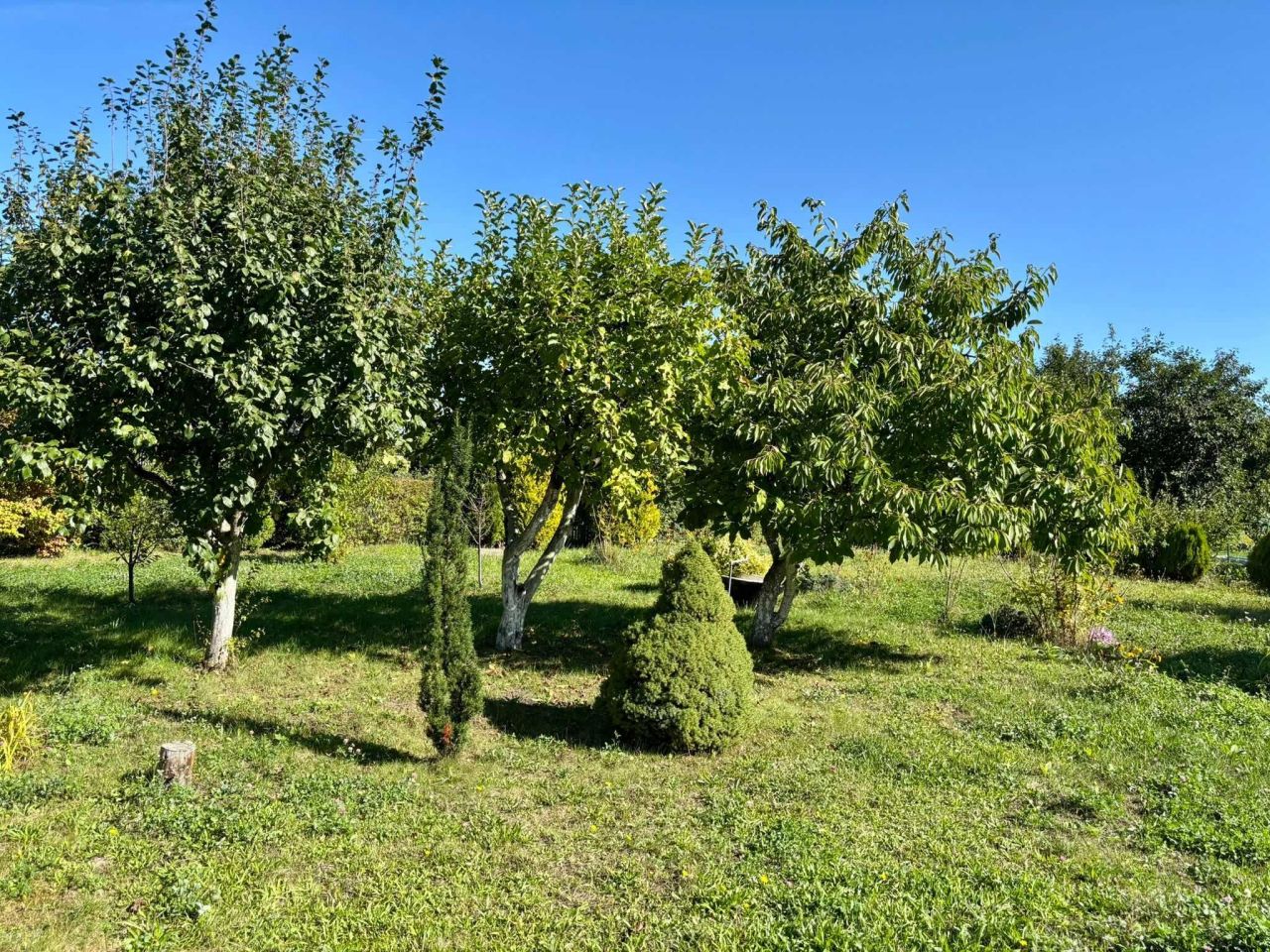 Działka rod Ostrów Wielkopolski. Zdjęcie 5
