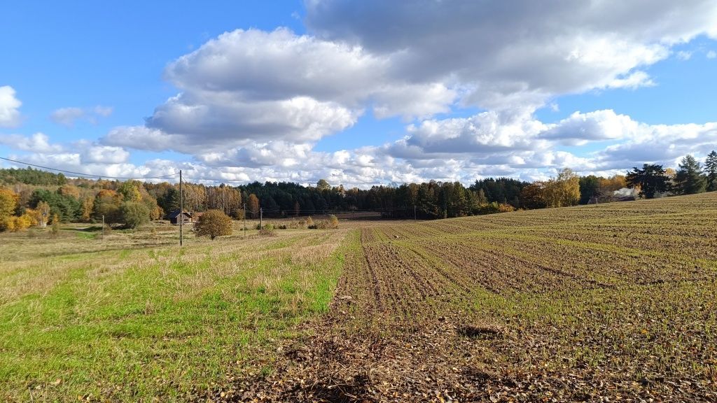 Działka rolna Błotnia. Zdjęcie 3