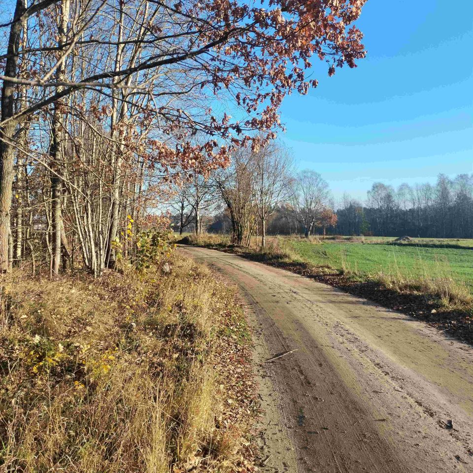 Działka budowlana Jeleńska Huta, ul. Kamieńska
