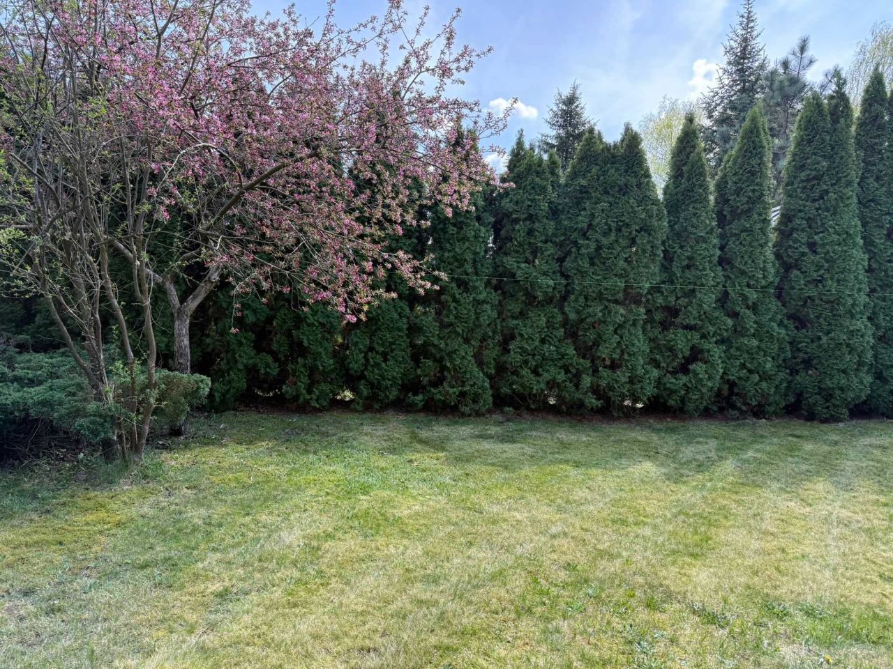 Ośrodek wczasowy Orchówek. Zdjęcie 8