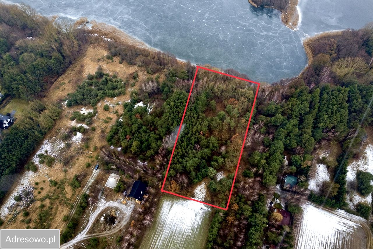Działka rekreacyjna Mniszki A. Zdjęcie 3