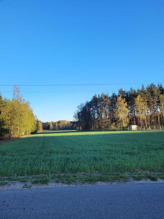 Działka rolna Wólka-Przekory. Zdjęcie 4