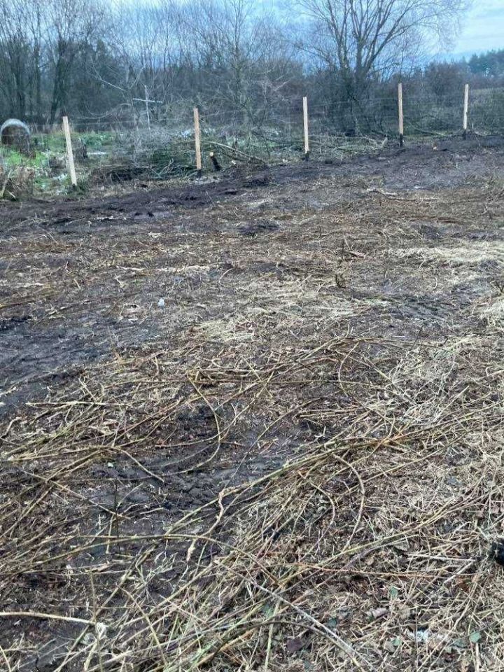 Działka rolno-budowlana Drągowina. Zdjęcie 4